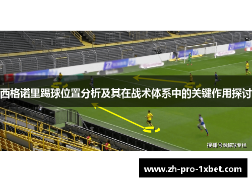 西格诺里踢球位置分析及其在战术体系中的关键作用探讨 西格诺里踢球位置分析及其在战术体系中的关键作用探讨