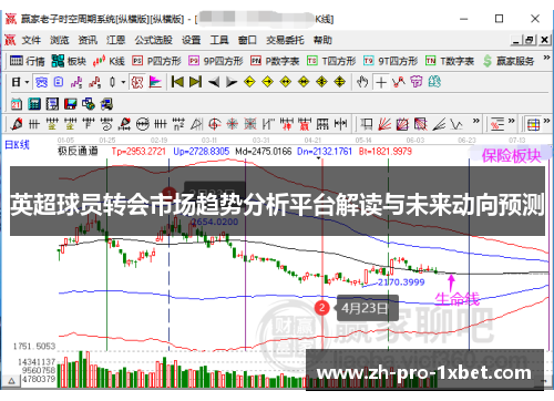 英超球员转会市场趋势分析平台解读与未来动向预测 英超球员转会市场趋势分析平台解读与未来动向预测