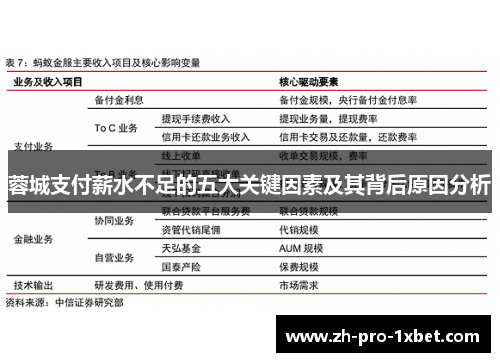 蓉城支付薪水不足的五大关键因素及其背后原因分析